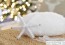 DIY-Wool-Snowflake-Ornaments-ItsOverflowing-5