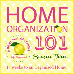 Home Organization 101 Season 3 BUTTON