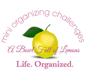 Mini organizing challenges ABFOL - Utensil Drawer