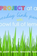 One Project at a Time Link party - ABFOL