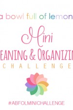 ABFOL Mini Cleaning & Organizing FB Challenges