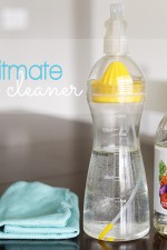 Save a ton of money by making your own window & glass cleaner. The "ultimate window cleaning recipe" by A Bowl Full of Lemons