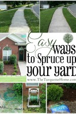 easy-ways-to-spruce-up-your-yard-2