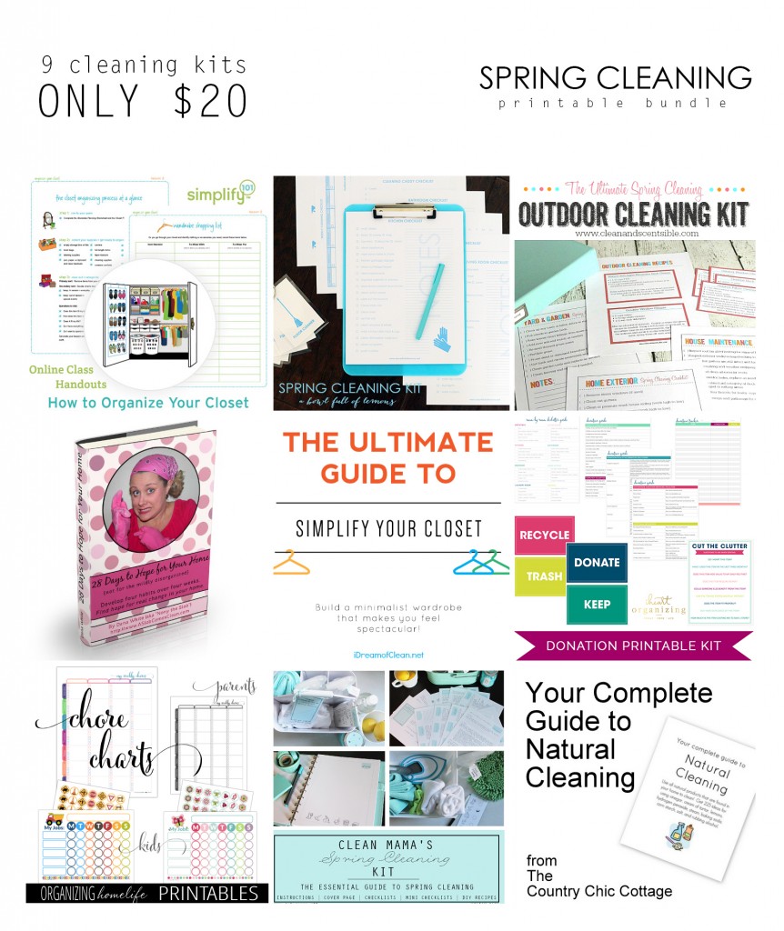 2015 Spring Cleaning Bundle