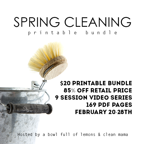 Spring Cleaning Bundle 