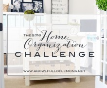 The 2016 Home Organization Challenge