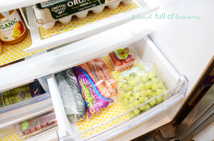 Freezer Organization  A Bowl Full of Lemons