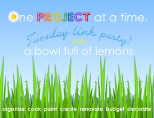 One Project at a Time Link party - ABFOL