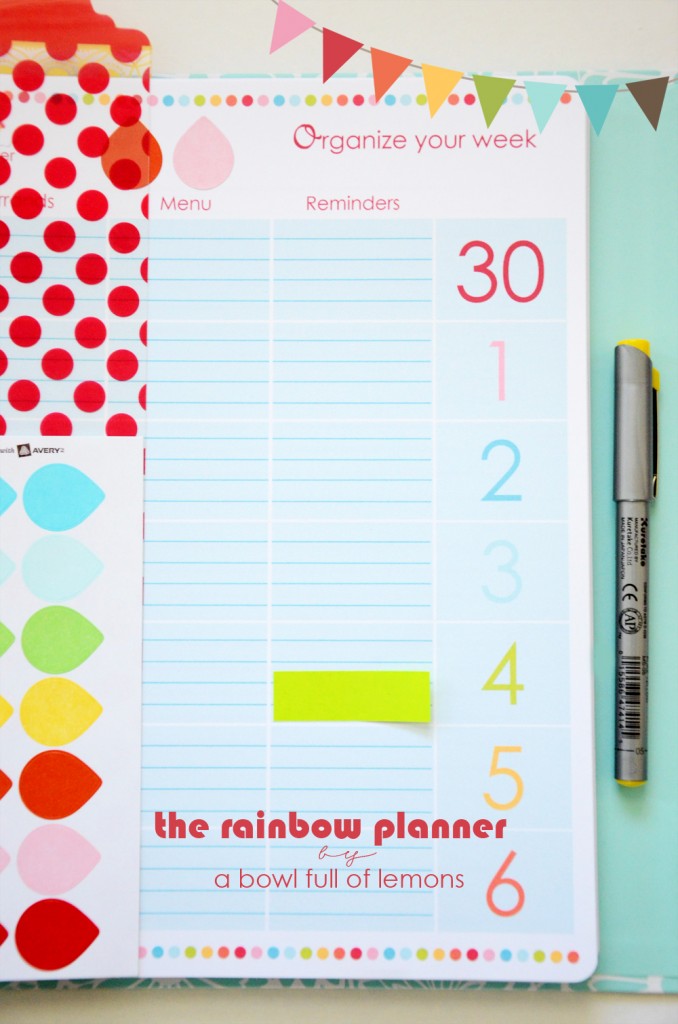 Rainbow Planner -  A Bowl Full of Lemons 3