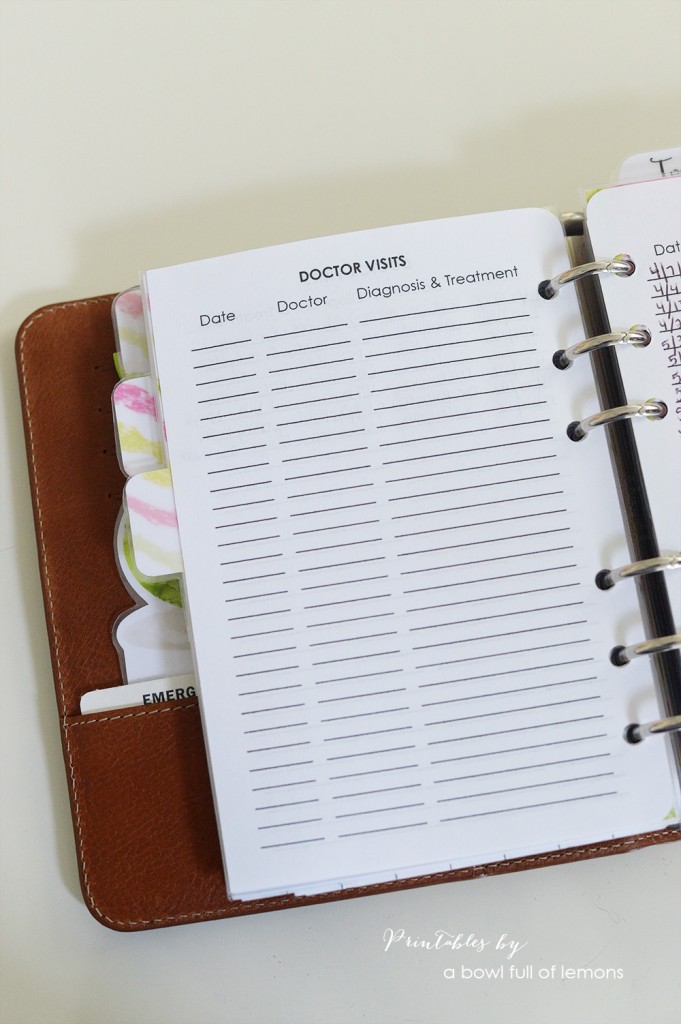 My Summer Planner via A Bowl Full of Lemons 