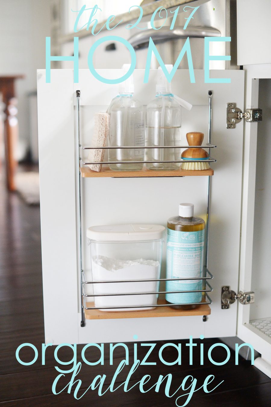 The 2017 Home Organization Challenge | A Bowl Full of Lemons