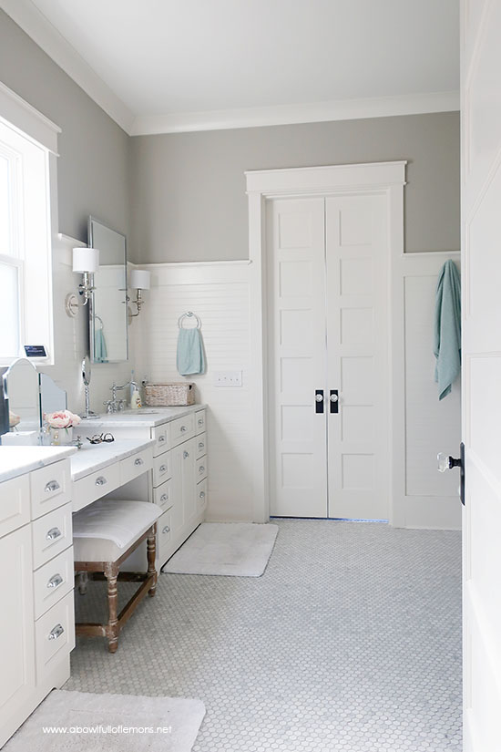 Master Bathroom Organization 