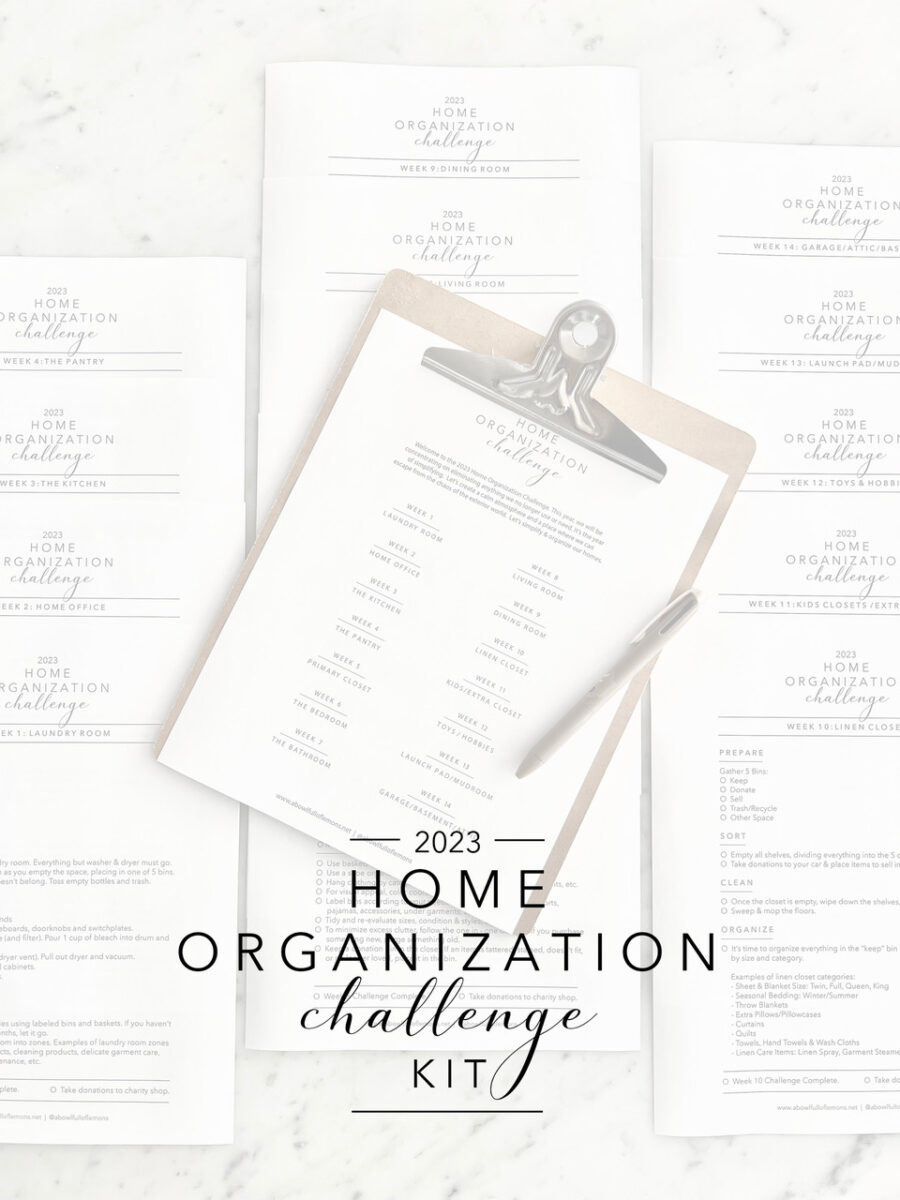 2023 Home Organization Challenge Kit